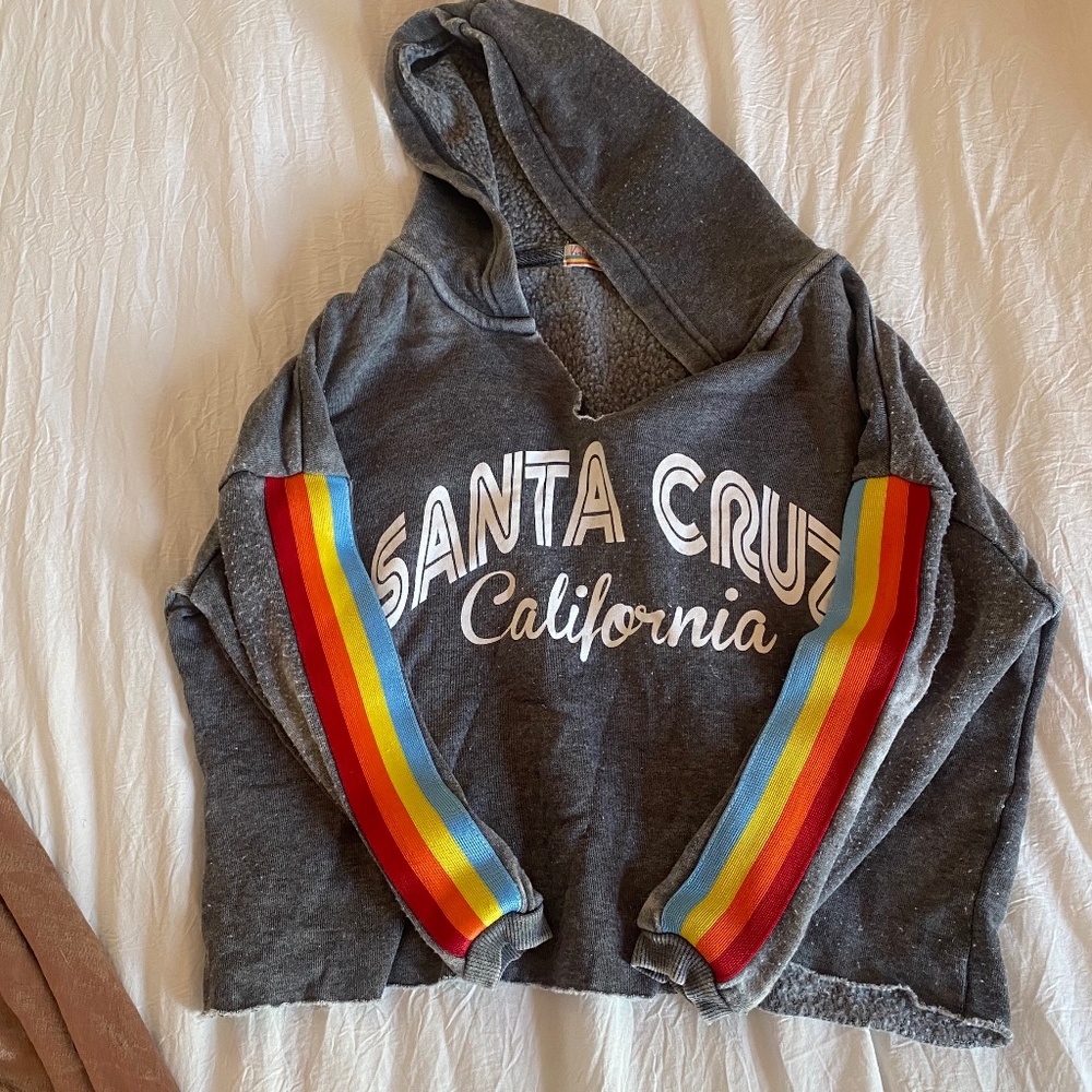 vintage santa cruz croped hoodie